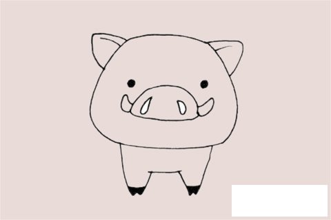 野猪简笔画图片