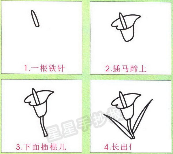 马蹄莲简笔画