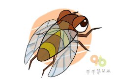 儿童简单画   蝉的简笔画步骤图