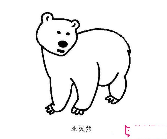 北极熊简笔画图片大全，北极熊怎么画