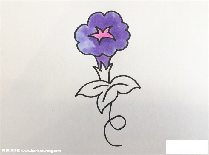 牵牛花的画法