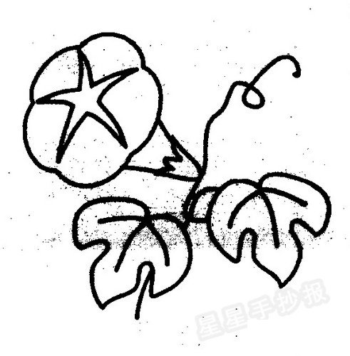 牵牛花简笔画图片