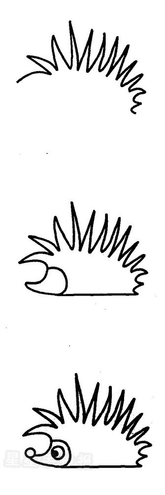 刺猬简笔画图片