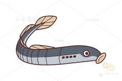七鳃鳗简笔画