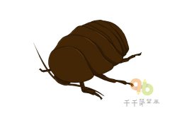 儿童简单画  土鳖虫简笔画步骤图