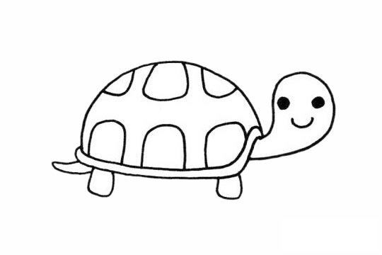 乌龟简笔画图片大全作品三
