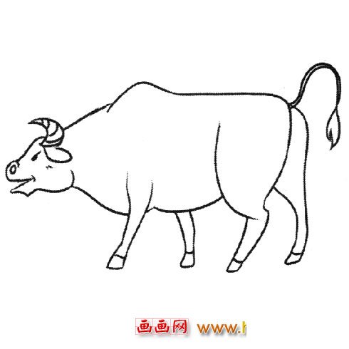 一头胖胖的黄牛（动物简笔画）