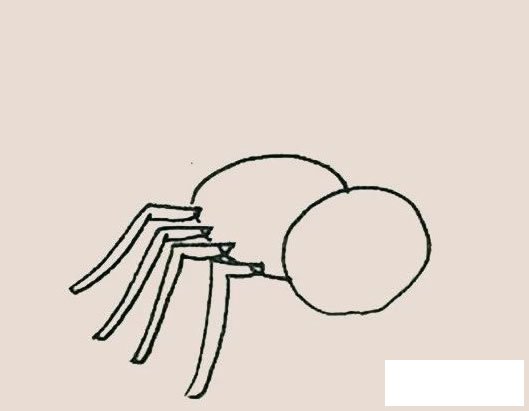 蜘蛛简笔画