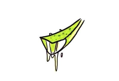 芦荟简笔画图片大全