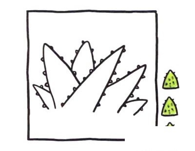 芦荟简笔画图片大全