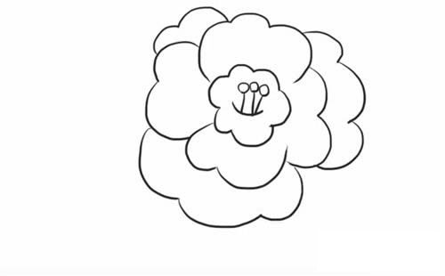 茶花简笔画步骤图解