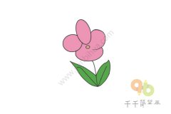美丽的花 蝴蝶花简笔画