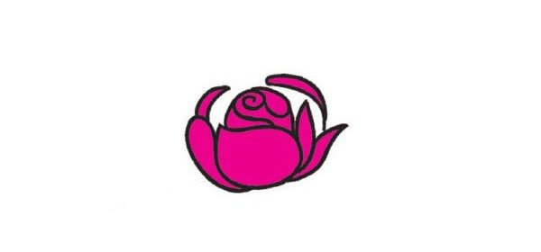玫瑰花简笔画图片