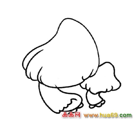 植物简笔画：草菇5