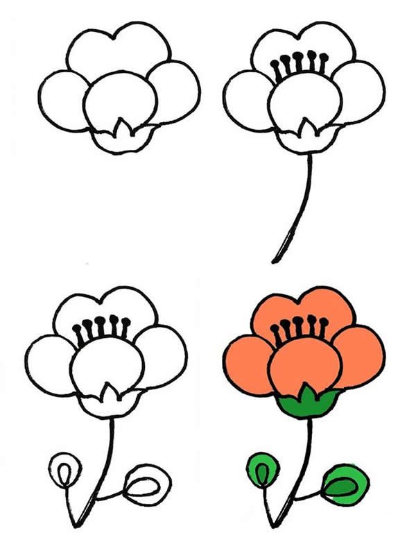 漂亮的花朵简笔画画法步骤图