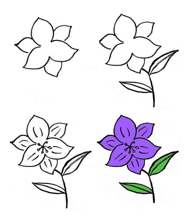 漂亮的花朵简笔画画法步骤图