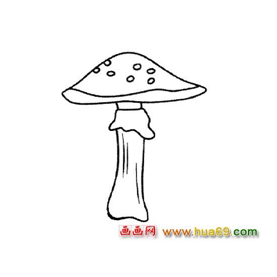 植物简笔画：平菇1