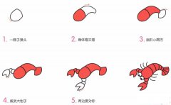 小龙虾简笔画画法_怎么画小龙虾的简笔画