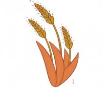 麦穗的画法步骤图带颜色 麦穗简笔画图片