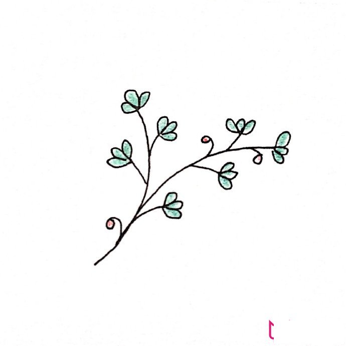 简约清新的植物简笔画大全，春风十里不如你