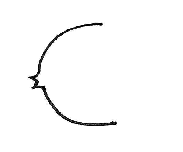 热带鱼简笔画