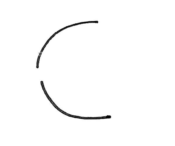 热带鱼简笔画