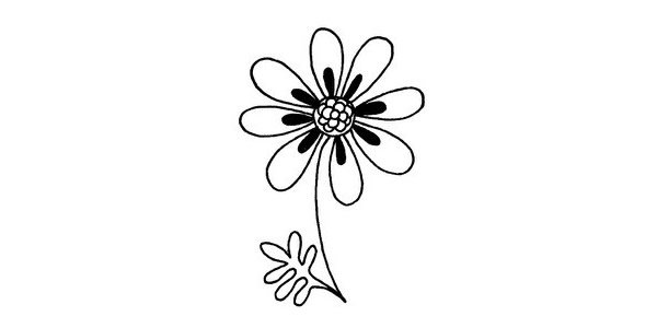 菊花简笔画