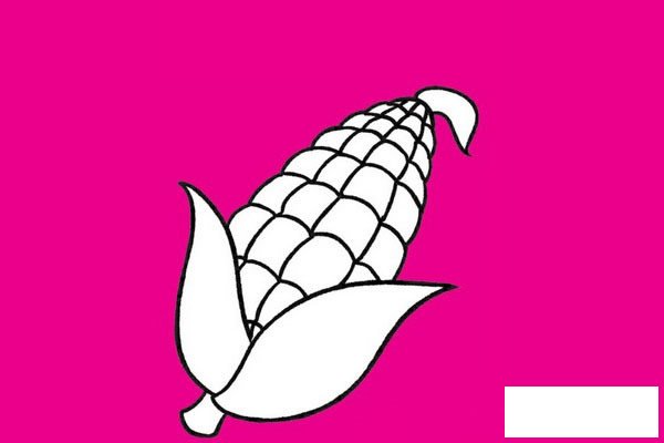 蔬菜简笔画