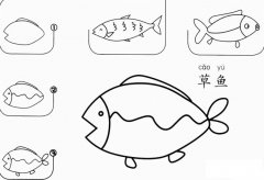 草鱼怎么画简笔画图片