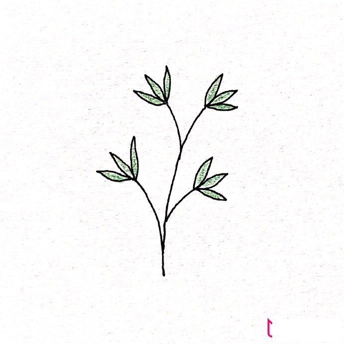 简约清新的植物简笔画大全，春风十里不如你