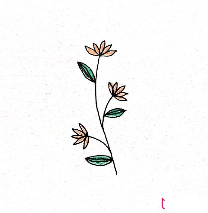 简约清新的植物简笔画大全，春风十里不如你