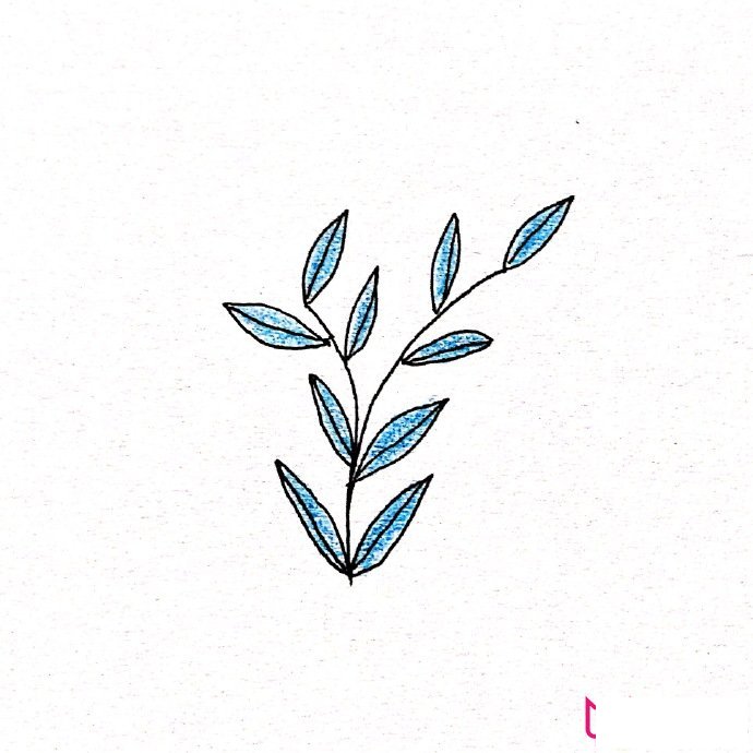 简约清新的植物简笔画大全，春风十里不如你