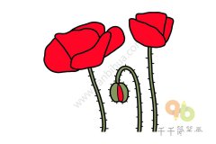 虞美人简笔画如何画