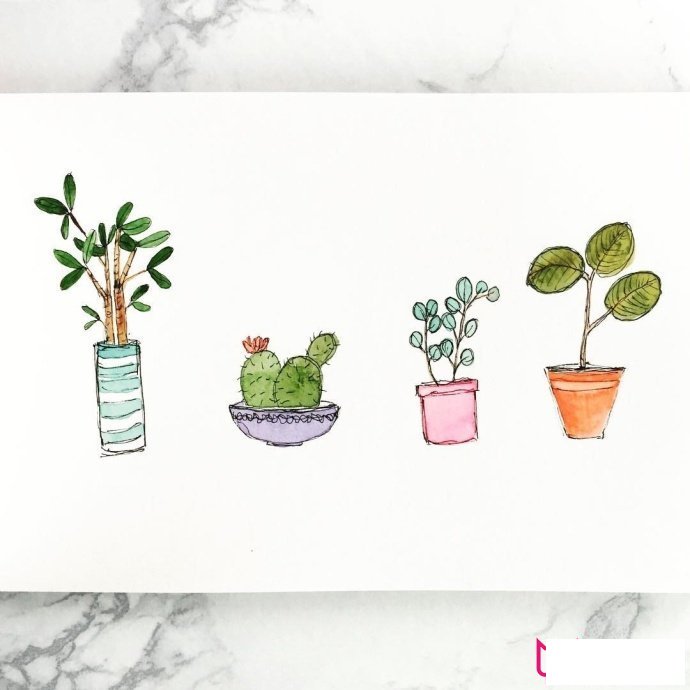 植物简笔画大全，小清新绿植盆栽