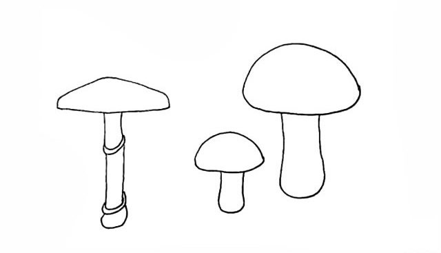 一组蘑菇简笔画