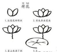 简单漂亮的荷花简笔画画法_怎么画简单漂亮的荷