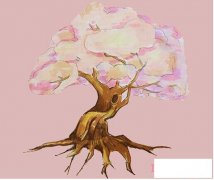 教你一步一步手绘樱花树简笔画涂色简单漂亮