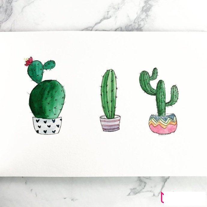 植物简笔画大全，小清新绿植盆栽