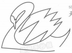 天鹅简笔画图片画法