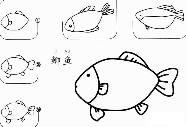 鱼的简笔画 鲫鱼怎么画简笔画 鲫鱼的画法步骤图解