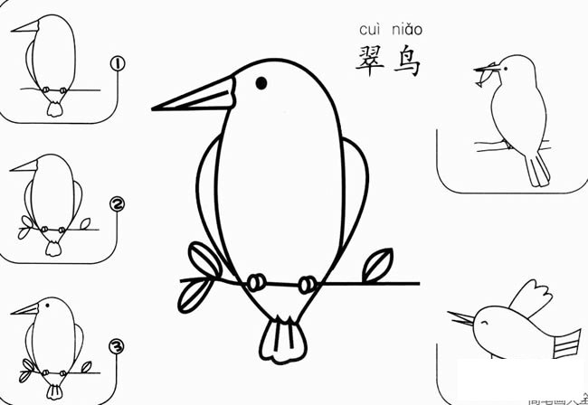小鸟简笔画 翠鸟怎么画简笔画图片