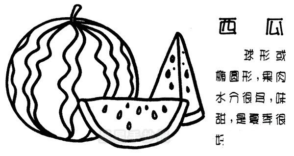 西瓜简笔画