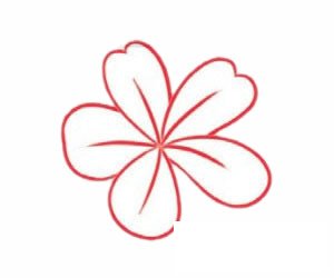 荼蘼花简笔画图片