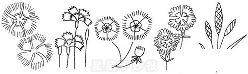石竹简笔画