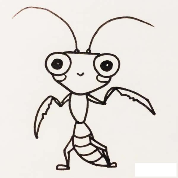 螳螂简笔画