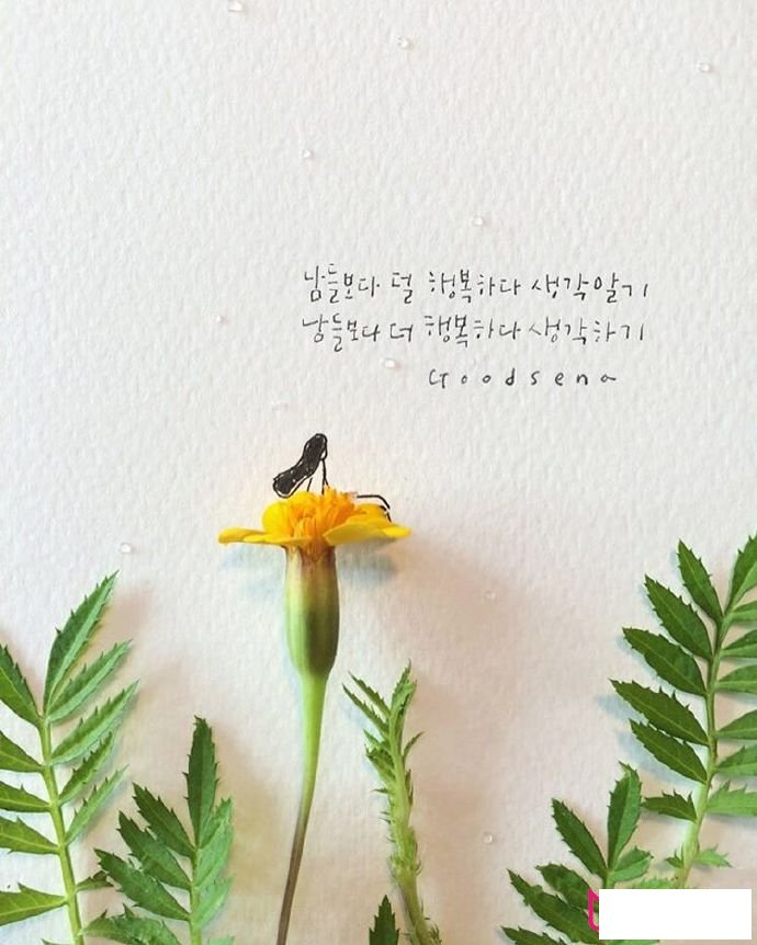 有创意的儿童简笔画大全，梦幻与生活