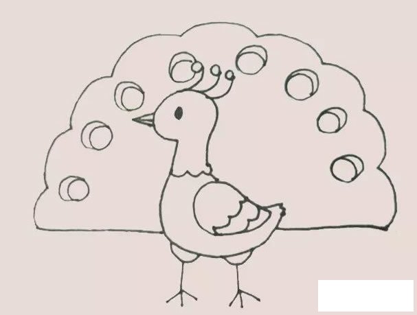 孔雀简笔画