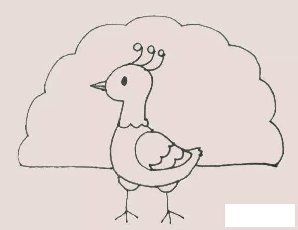 孔雀简笔画