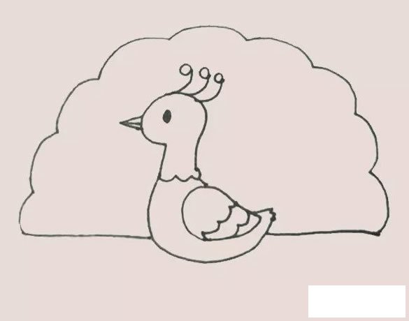 孔雀简笔画