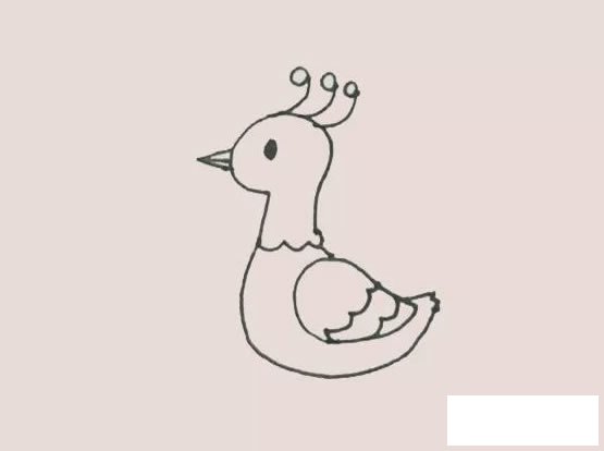 孔雀简笔画